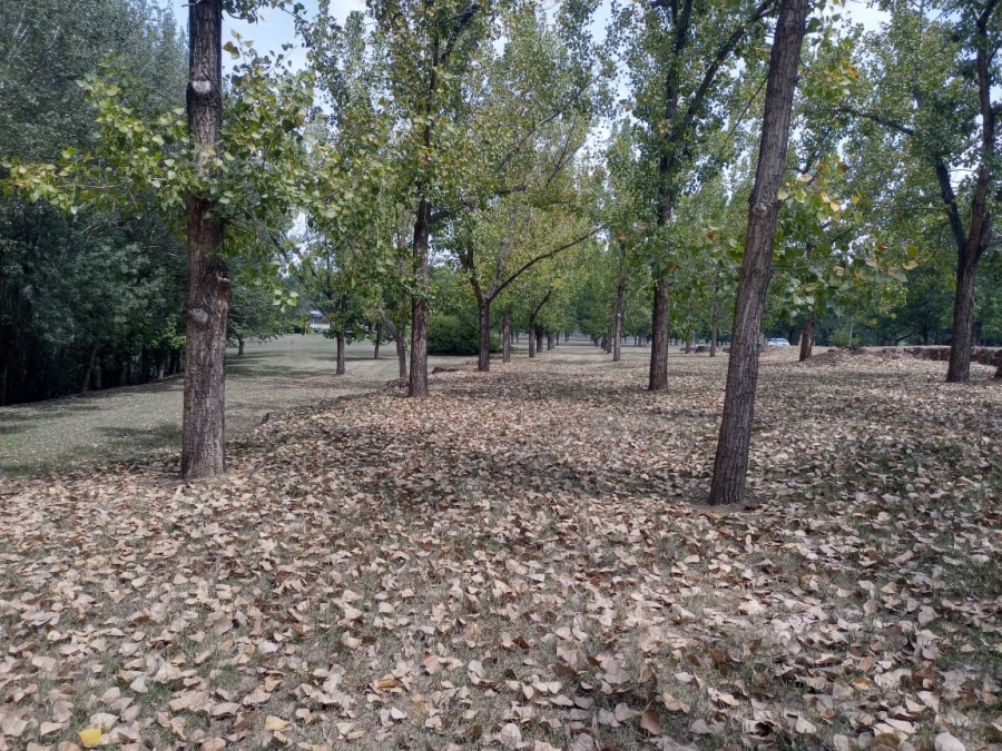 0 Bedroom Property for Sale in Willow Creek Riverfront Residential Estate Free State